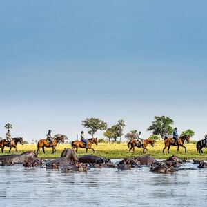 Horse Riding at the Okavango Delta