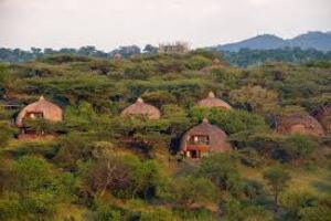 one of the lodges in serengeti