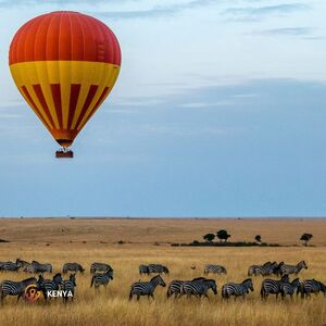 The Maasai Mara National Reserve