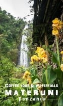 Materuni waterfalls sums the trip