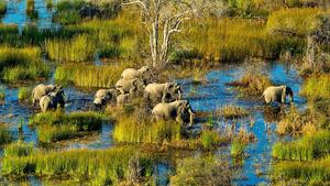 The Okavango Delta tour