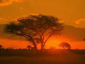 sun seting at  Matobo National Park