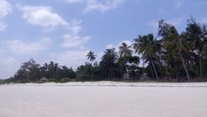 Nyali Beach In Mombasa