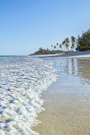 Diani, The epicenter of Tourism