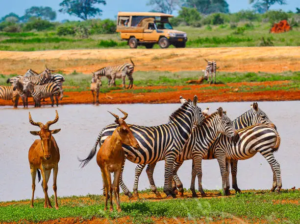 Tsavo East National Park