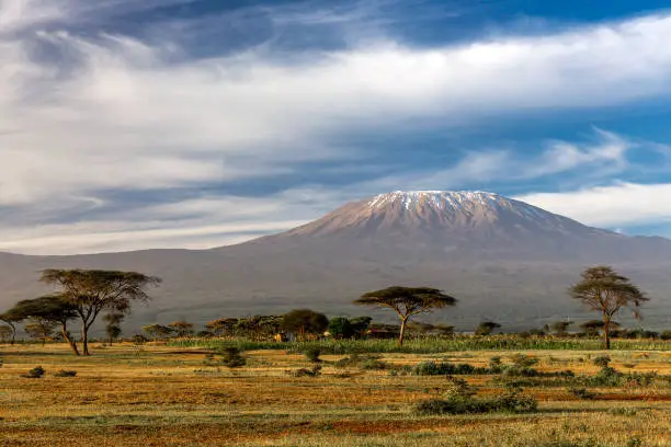 Mount Kilimanjaro view from Amboseli National Park