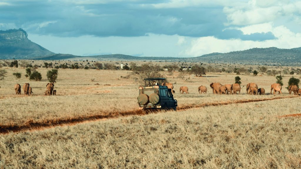 Kenya tours and safaris packages