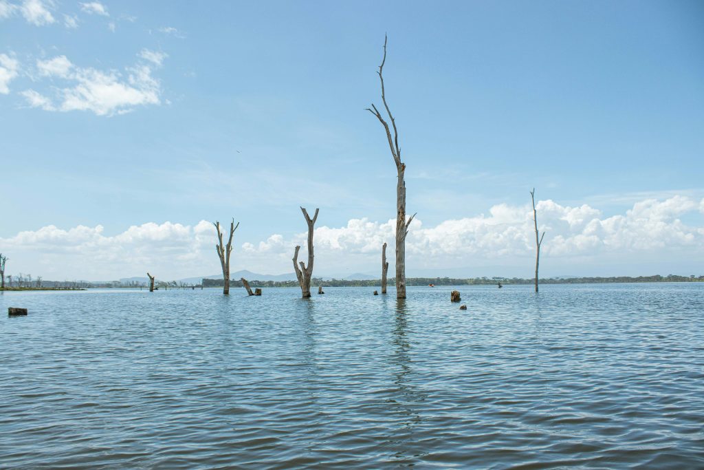 Lake Naivasha