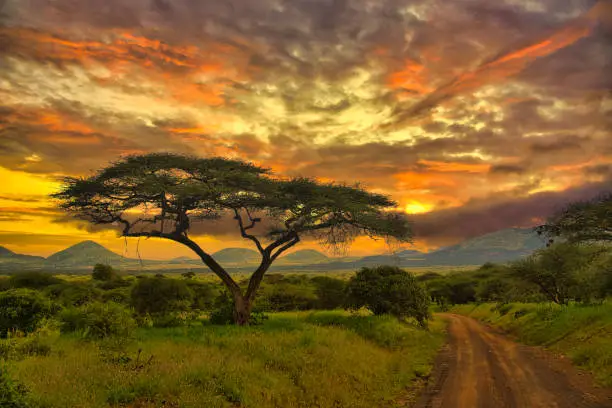 Sunrise at Amboseli National Park
