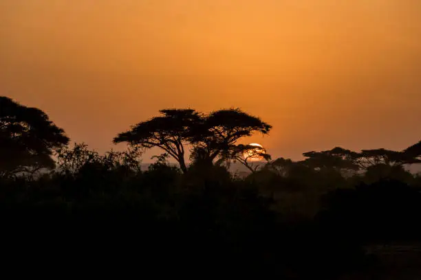 Sunset at Amboseli